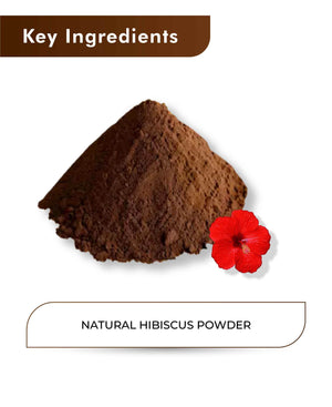 H&C Natural Hibiscus Powder - Rosa Sinensis - 100gm - ( Pack of 2 ).