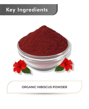 USDA certified organic hibiscus powder from India