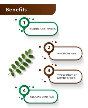 H&C Natural Indigo Leaf Powder - 100gm (Pack of 5) For Hair.