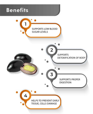 Jamun seed herbal supplement for digestion and detox