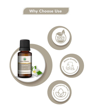 Korus Essential Jasmine Oil - 15ml (Pack of 2).