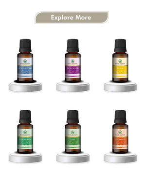 Korus Essential Jasmine Oil - 15ml (Pack of 2).