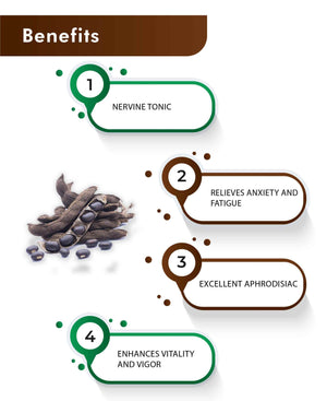 H&C Kapikacchu Powder 100% pure mucuna pruriens