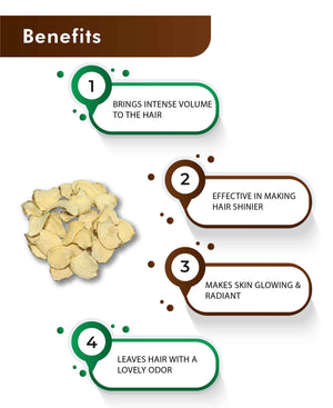 H&C Natural Kapoor Kachli Powder 100% Pure Herbal