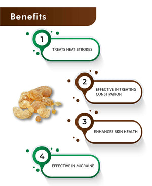 H&C Natural Katira Gond Powder 100% Pure Tragacanth Gum