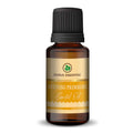 Korus Essential Evening Primrose Oil bottle with golden oil