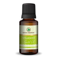 Korus Essential Spearmint Oil 15ml therapeutic grade bottle with dropper cap