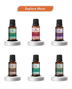 Korus cinnamon oil diffuser aroma for stress relief and immunity