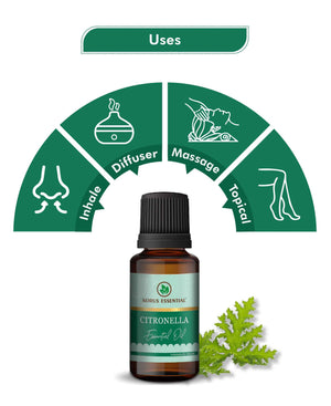 Korus citronella oil with lemony fresh aroma