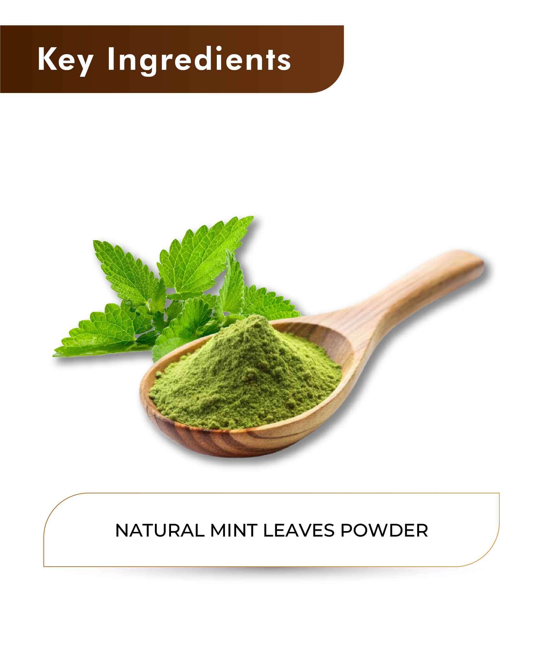 H&C Natural Mint Leaves Powder 100% pure herbal product