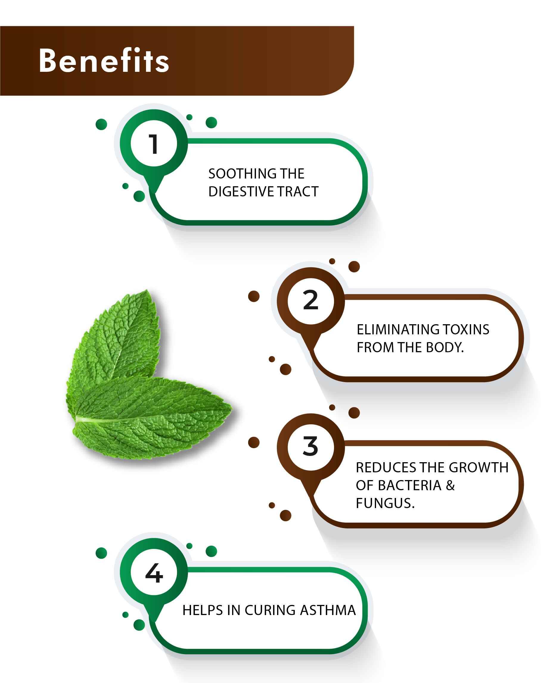 H&C Natural Mint Leaves Powder 100% pure herbal product