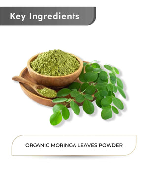 Nutrient-rich organic moringa powder from India