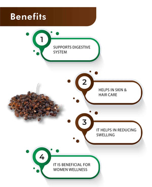 H&C Natural Nagarmotha Powder 100% pure herbal ayurvedic Powder for healthy hair and glowing skin