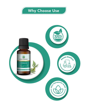 Natural cypress essential oil for respiratory health and muscle relief