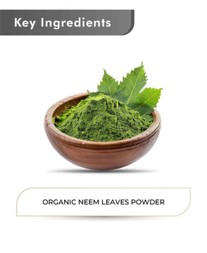 Neem powder face pack for clear complexion