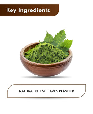 H&C Natural Neem Leaves Powder – 100gm (Pack of 5).