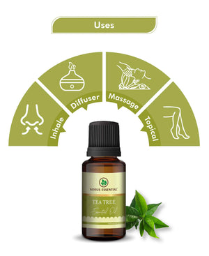 Organic tea tree essential oil for dandruff and scalp health