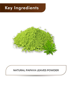 H&C Natural Papaya Leaves Powder for immunity boost