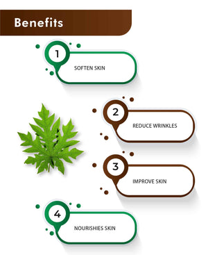 Papaya leaves tablet benefits for platelet count