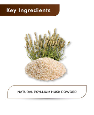 Psyllium husk powder for healthy digestion
