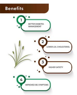 Psyllium husk powder for healthy digestion