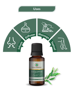 Pure eucalyptus essential oil for muscle relief and headache