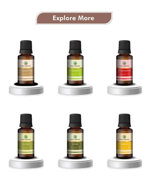 Korus Essential Rosewood Oil - 15ml (Pack of 3).