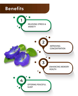 H&C Shankhpushpi powder and Natural remedy for stress and anxiety