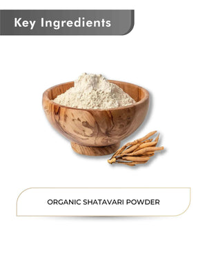 Asparagus racemosus root powder organic supplement