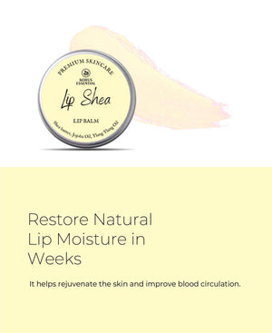 Korus Essential Lip Shea Lip Balm - 8gm (Pack of 2).