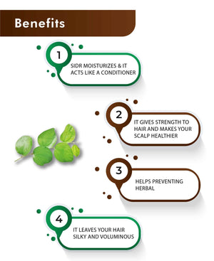 Natural Sidr Powder(Pack of 4) - 100gm | H&C.