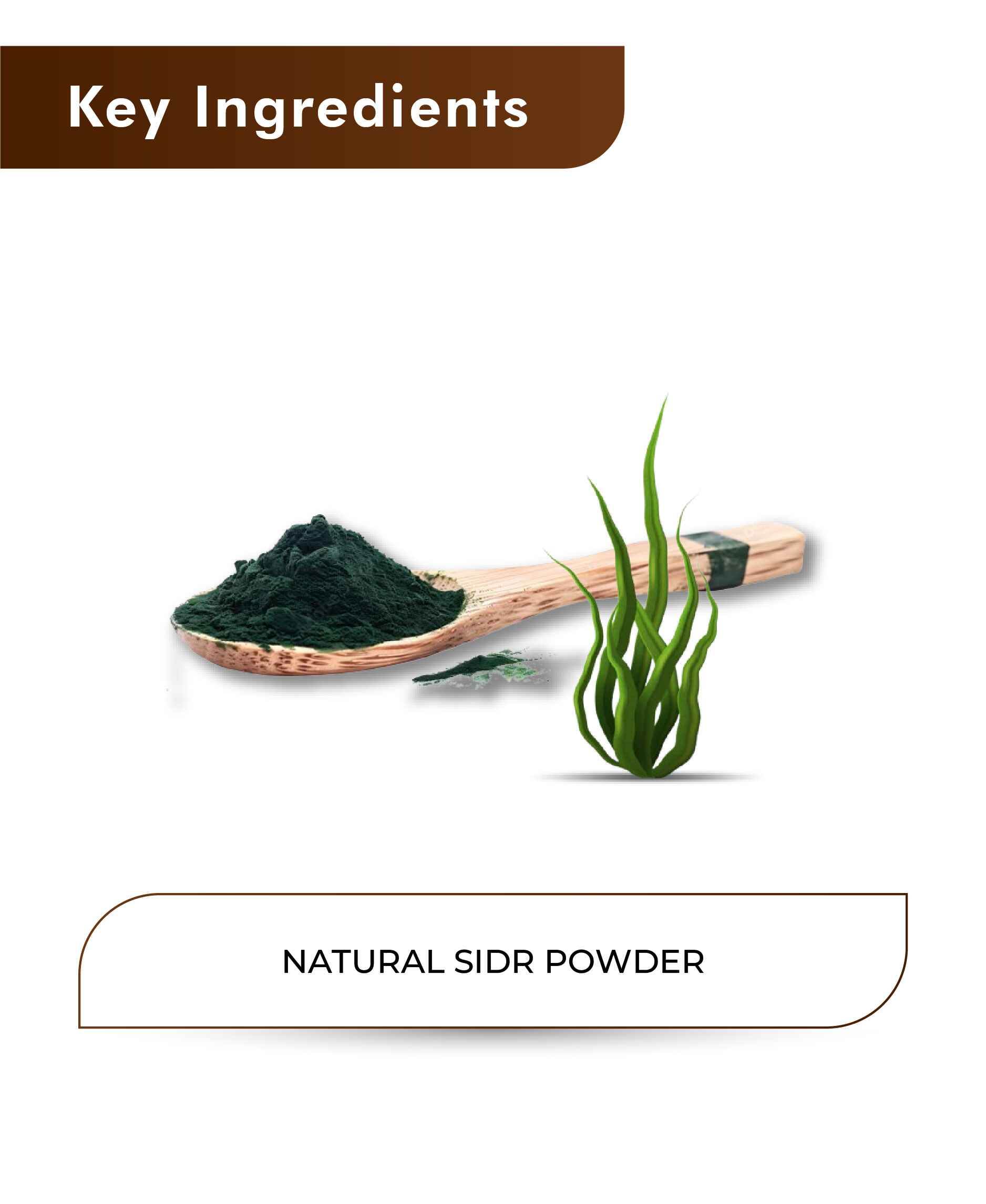 H&C Natural Spirulina Powder 100% pure superfood for health & Wellness
