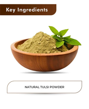 H&C Natural Tulsi Leaves Powder for immunity