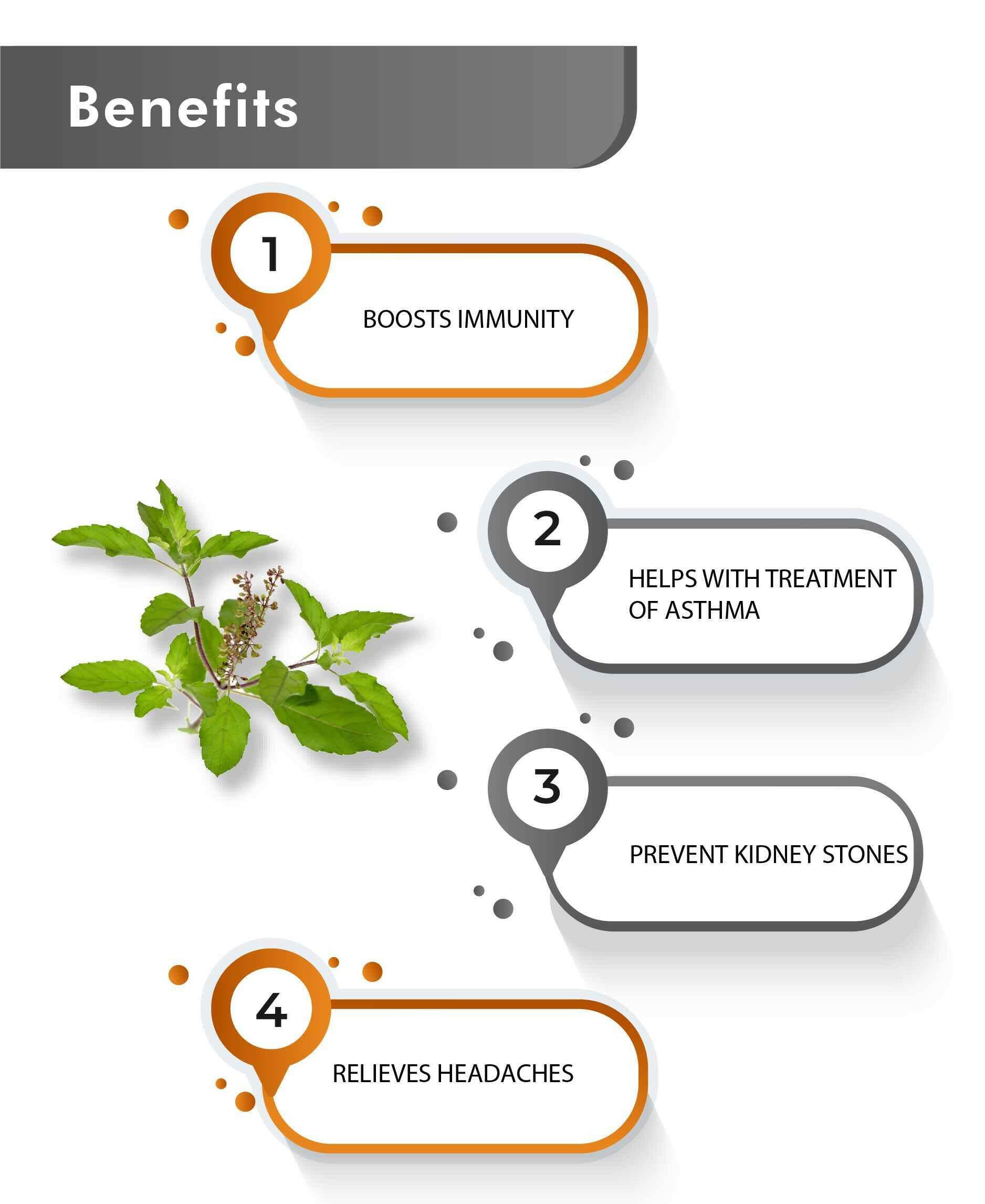 Tulsi leaf powder for hair growth and dandruff control