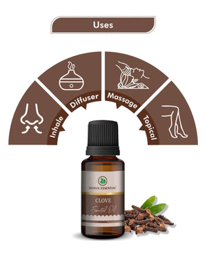 Using clove bud essential oil in a diffuser for warm and spicy aromatherapy