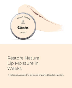 Korus Essential Vanilla Lip Balm with Shea Butter - 8gm (Pack of 2).