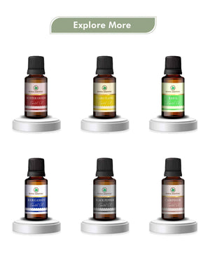 Korus Essential Vetiver Oil - 15ml (Pack of 2).