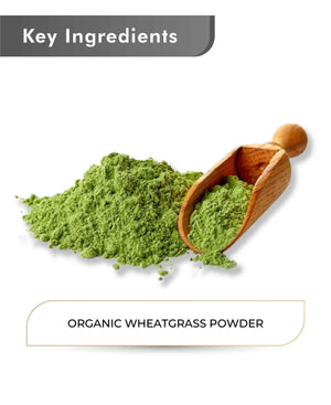 Organic wheatgrass powder in a bowl