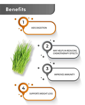 Close-up of green wheatgrass powder texture
