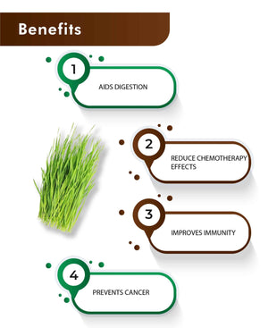 H&C Wheatgrass powder superfood supplement