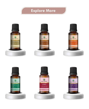 camphor oil for respiratory congestion and wellness