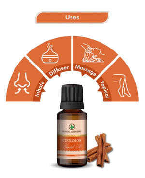 cinnamon essential oil for skin and hair natural healing oil
