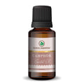 korus essential camphor oil therapeutic grade bottle closeup