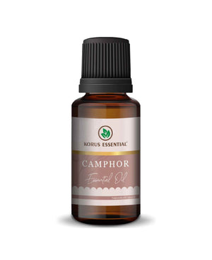 korus essential camphor oil therapeutic grade bottle closeup