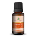 korus essential cinnamon oil bottle aromatic therapeutic oil