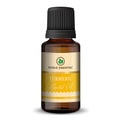Turmeric Essential Oil – 15ml | Pure Natural Aromatherapy & Skin Support (Pack of 2).