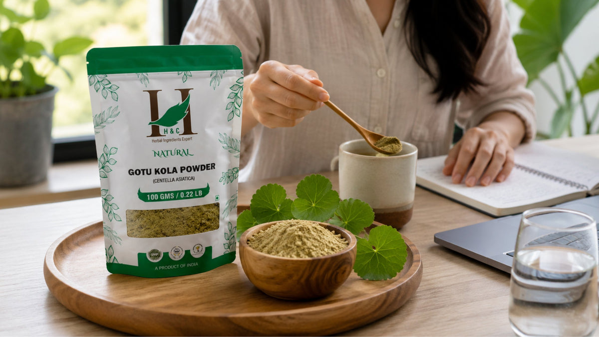 Gotu Kola Powder for Busy Minds: How to Add Centella Asiatica to Your Daily Wellness Routine