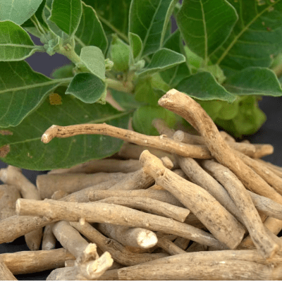 Ashwagandha - Health N Wellness Shop