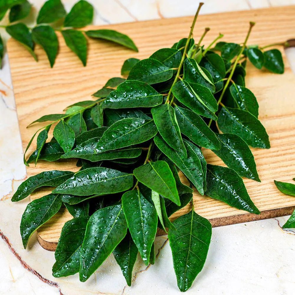 Curry Leaves - Fresh & Powder - Health N Wellness Shop