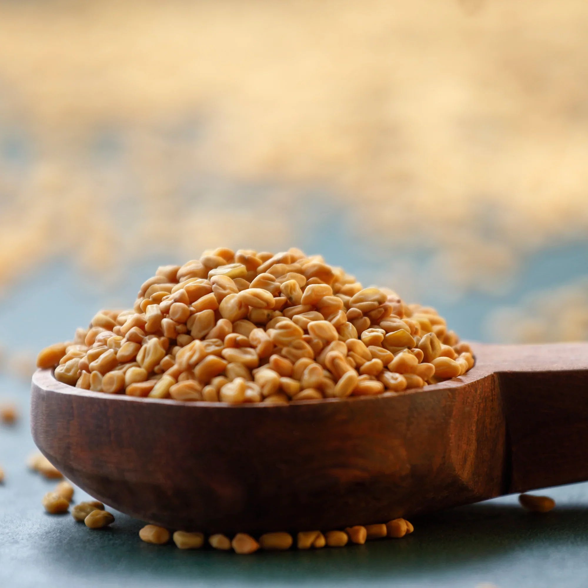 Fenugreek